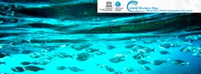 Journée mondiale de l’Océan - 150