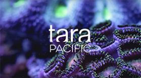EXPEDITION TARA PACIFIC 2016-2018 - 190
